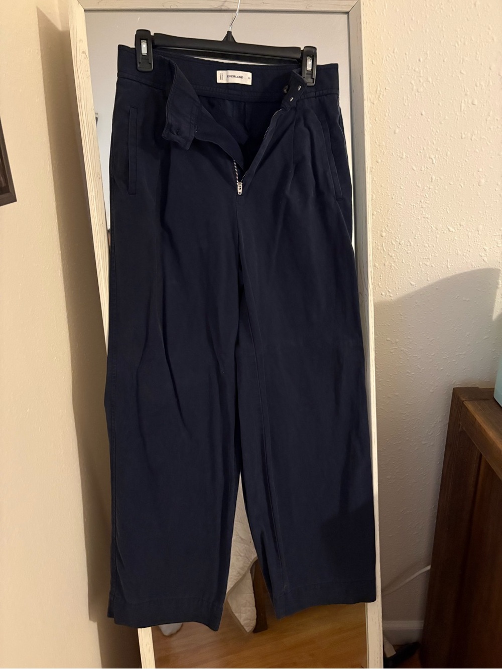Everlane Draper Pleated Pant in Buttersmooth